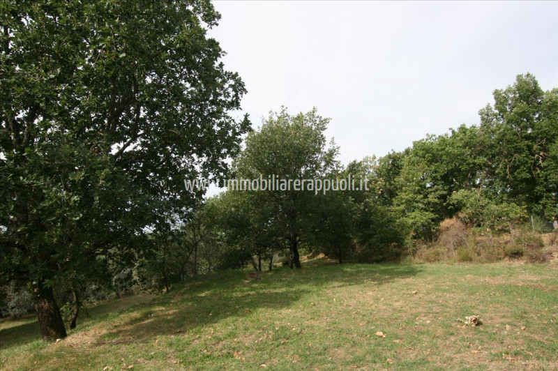 Immagine 8 di Casa indipendente in vendita  a Monte San Savino