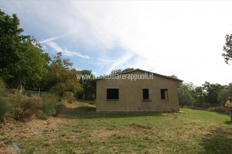 Immagine 9 di Casa indipendente in vendita  a Monte San Savino