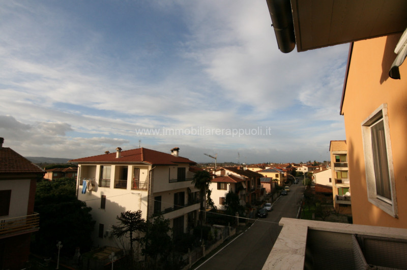 Immagine 5 di Appartamento in vendita  a Sinalunga