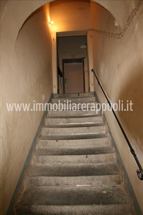 Immagine 7 di Rustico / casale in vendita  a Montepulciano