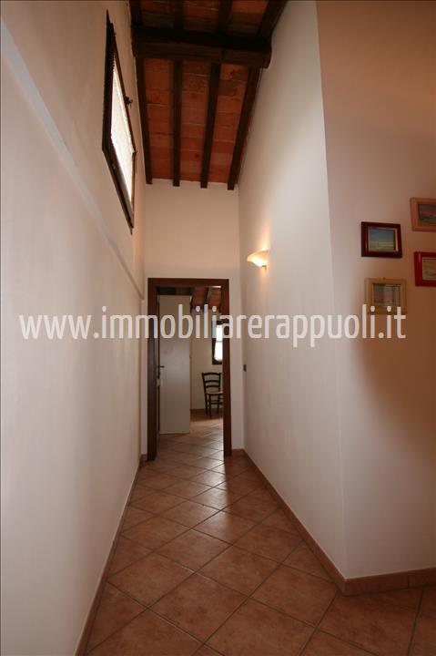 Immagine 21 di Rustico / casale in vendita  a Montepulciano