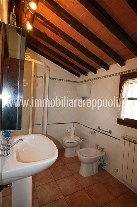 Immagine 25 di Rustico / casale in vendita  a Montepulciano