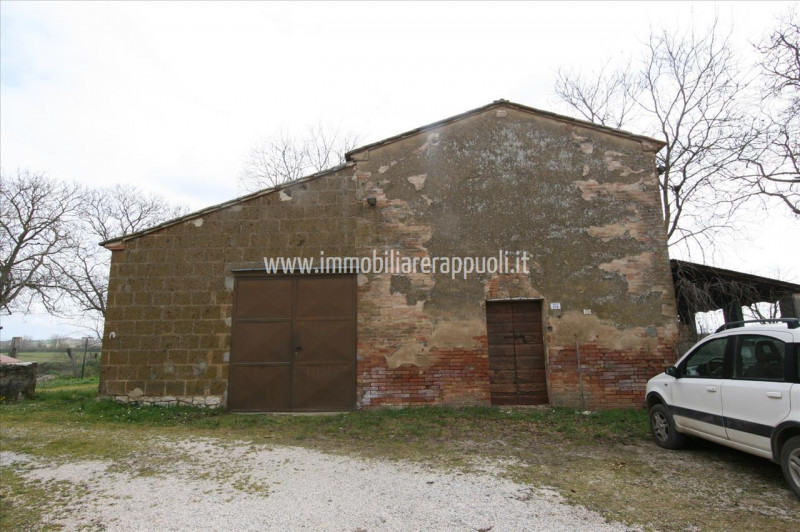 Immagine 28 di Rustico / casale in vendita  a Montepulciano