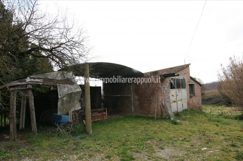 Immagine 13 di Casa indipendente in vendita  a Lucignano