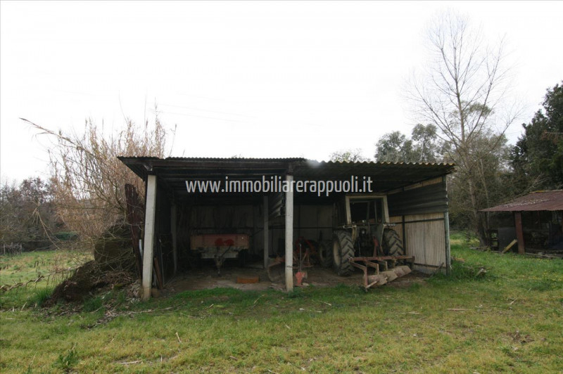 Immagine 14 di Casa indipendente in vendita  a Lucignano