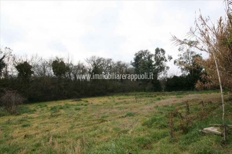 Immagine 15 di Casa indipendente in vendita  a Lucignano