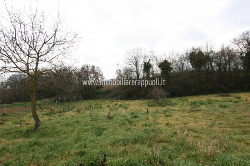 Immagine 17 di Casa indipendente in vendita  a Lucignano