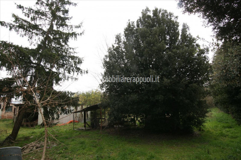 Immagine 18 di Casa indipendente in vendita  a Lucignano