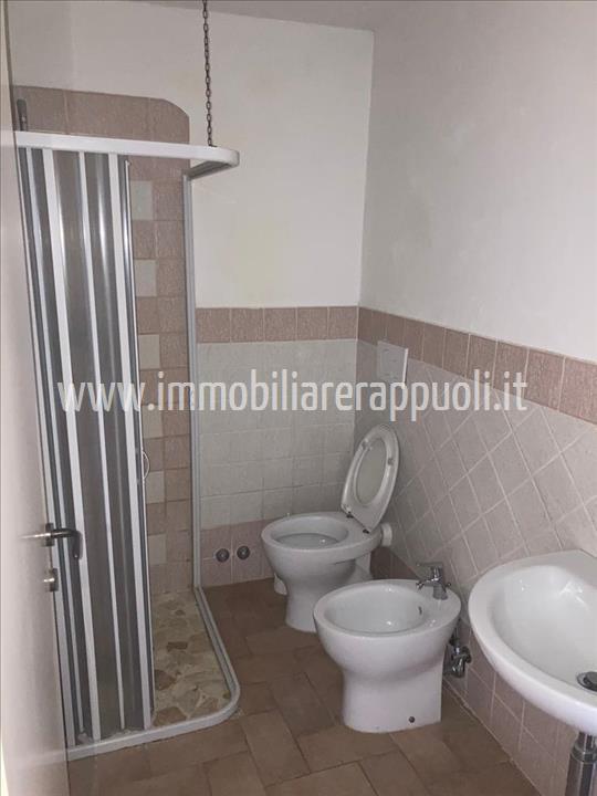 Immagine 8 di Appartamento in vendita  a Lucignano