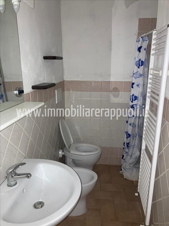 Immagine 11 di Appartamento in vendita  a Lucignano