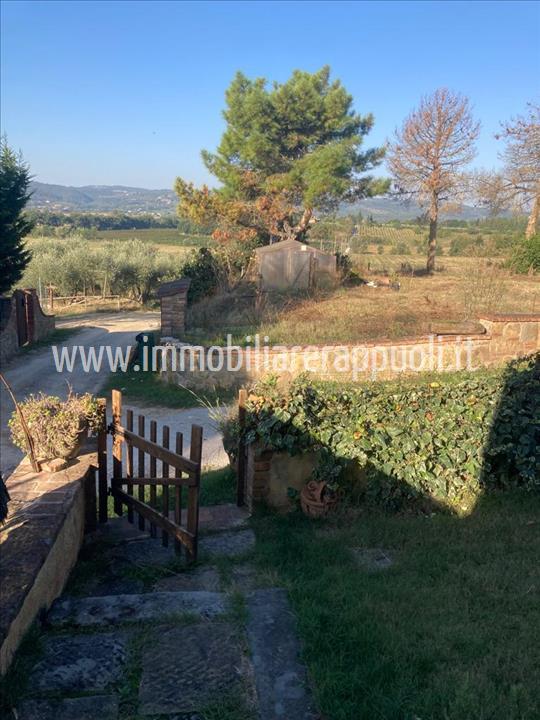 Immagine 12 di Appartamento in vendita  a Lucignano