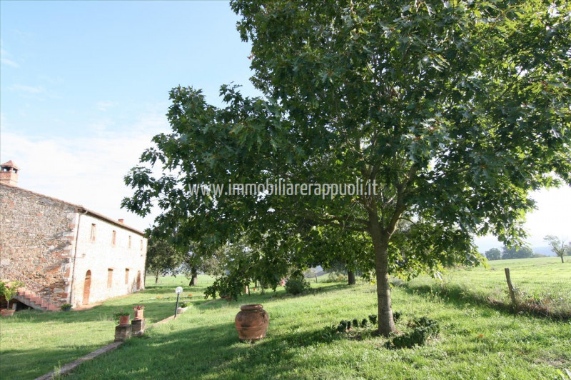 Immagine 3 di Rustico / casale in vendita  a Asciano