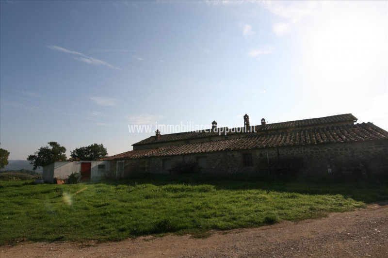 Immagine 8 di Rustico / casale in vendita  a Asciano