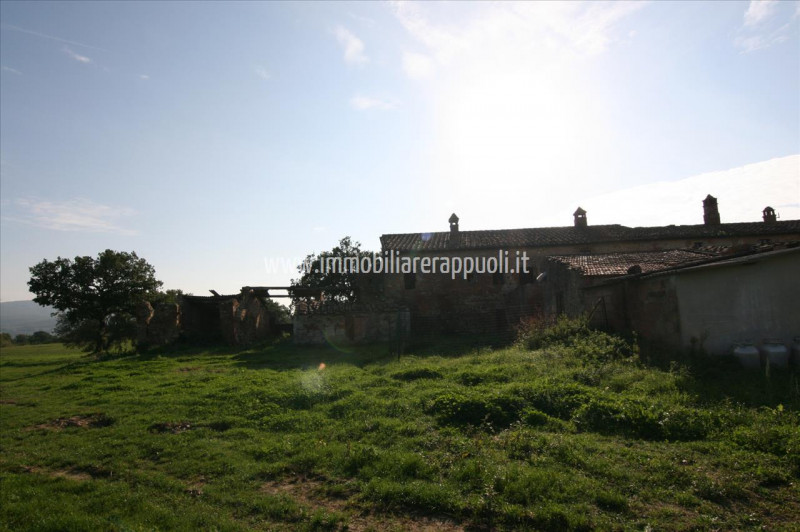 Immagine 9 di Rustico / casale in vendita  a Asciano