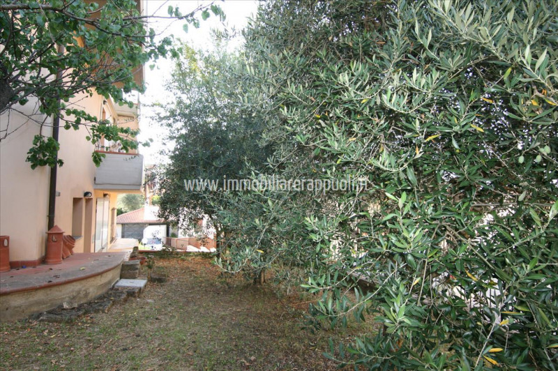 Immagine 3 di Appartamento in vendita  a Sinalunga