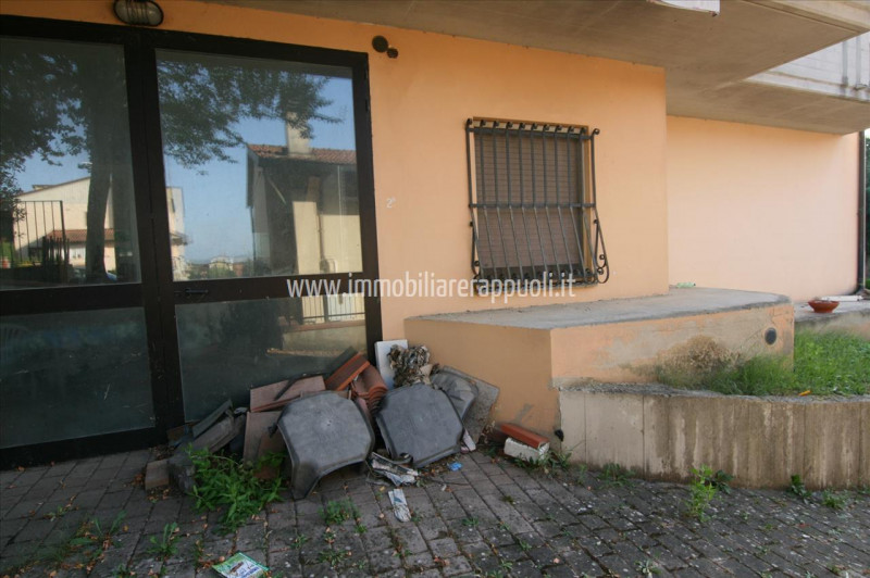 Immagine 5 di Appartamento in vendita  a Sinalunga