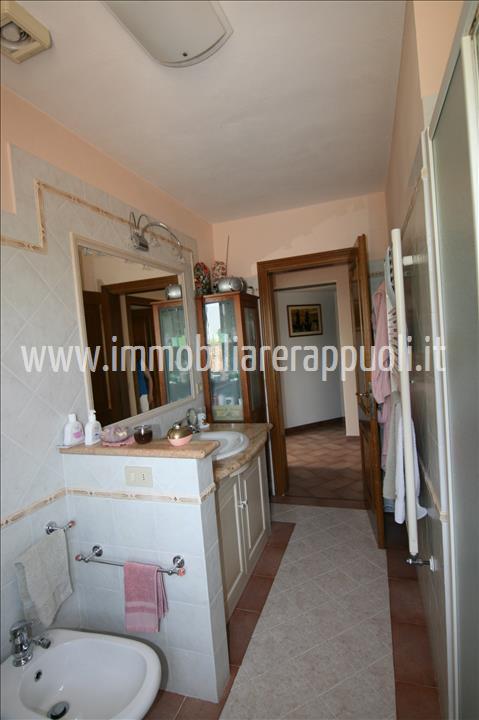 Immagine 8 di Rustico / casale in vendita  a Sinalunga