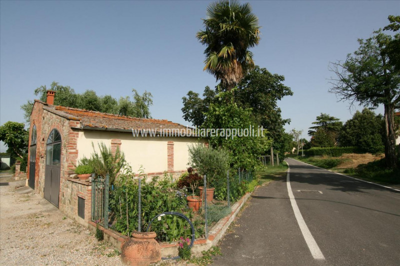 Immagine 19 di Rustico / casale in vendita  a Sinalunga