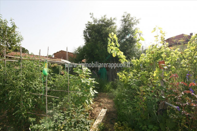 Immagine 24 di Rustico / casale in vendita  a Sinalunga