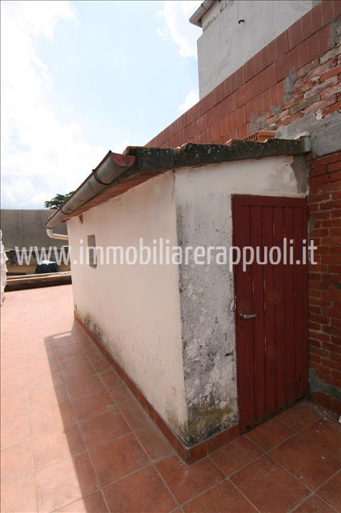 Immagine 6 di Appartamento in vendita  a Foiano Della Chiana