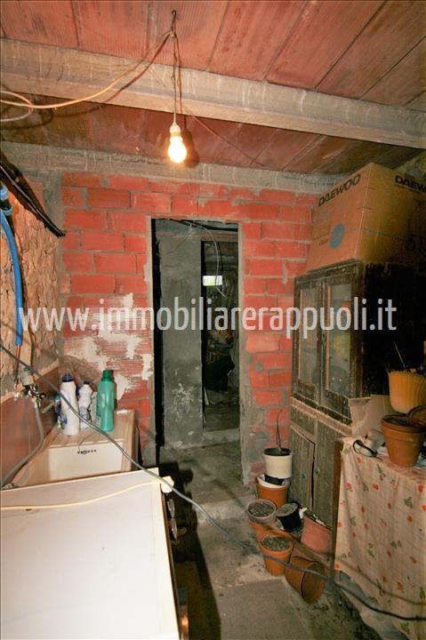 Immagine 12 di Casa indipendente in vendita  a Trequanda