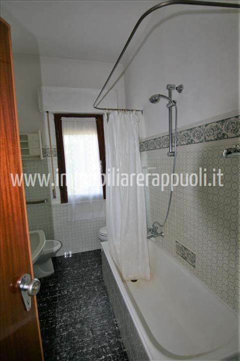 Immagine 2 di Casa indipendente in vendita  a Trequanda