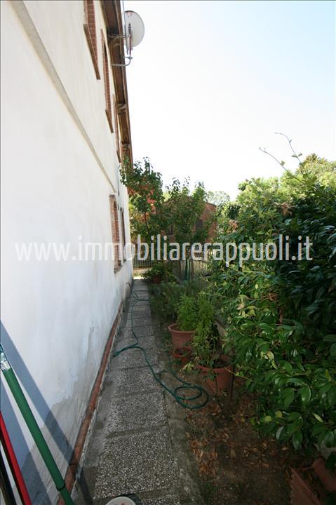 Immagine 5 di Villetta a schiera in vendita  a Sinalunga