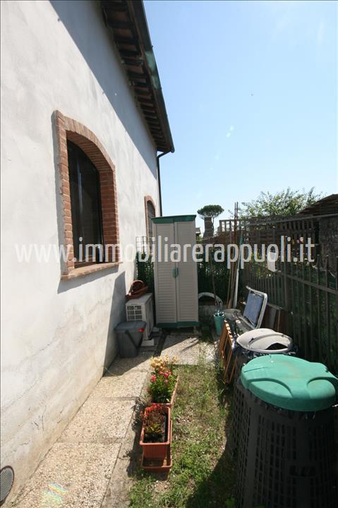 Immagine 6 di Villetta a schiera in vendita  a Sinalunga