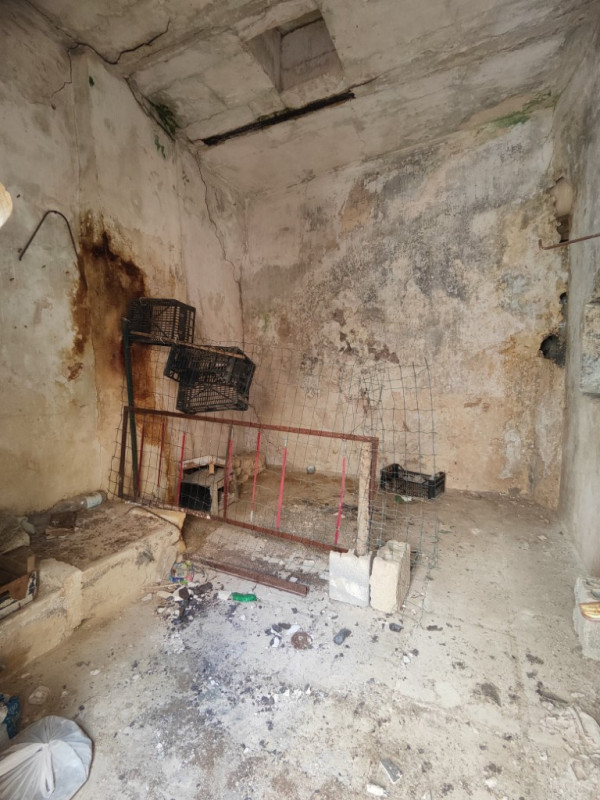 Immagine 9 di Casa indipendente in vendita  in Via Vittorio Emanuele II a Matino