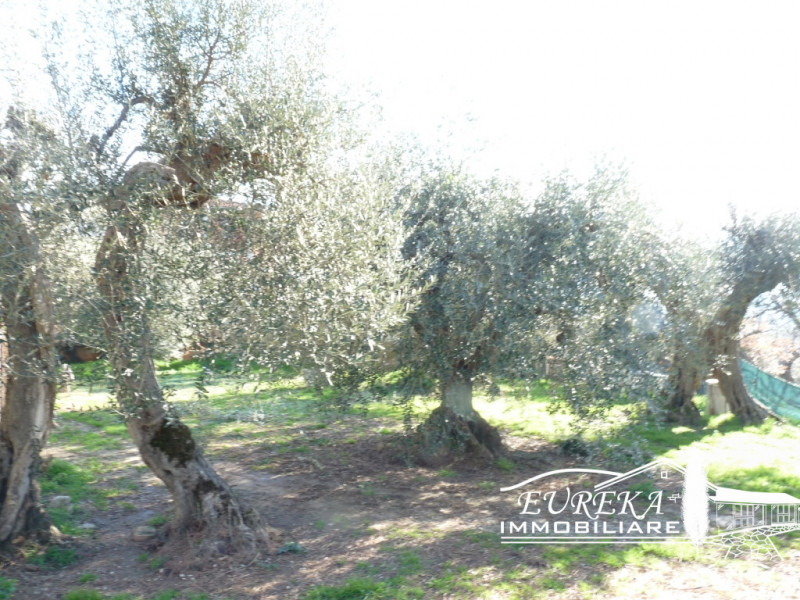 Immagine 13 di Appartamento in vendita  in Casamaggiore a Castiglione Del Lago