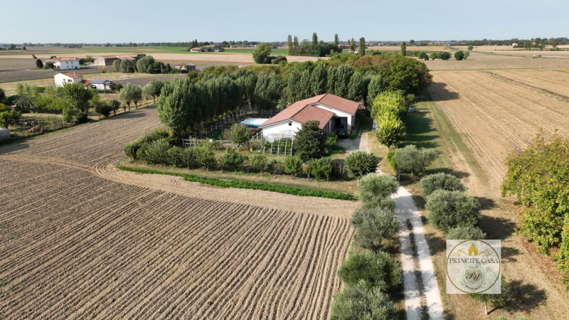 Immagine 1 di Capannone industriale in vendita  in via casette saltare a Este