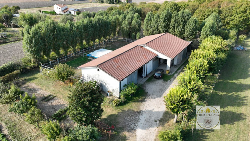 Immagine 3 di Capannone industriale in vendita  in via casette saltare a Este