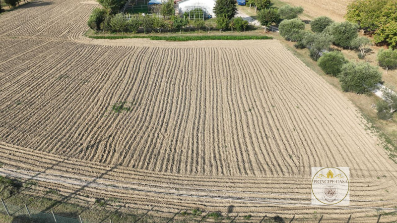 Immagine 4 di Capannone industriale in vendita  in via casette saltare a Este