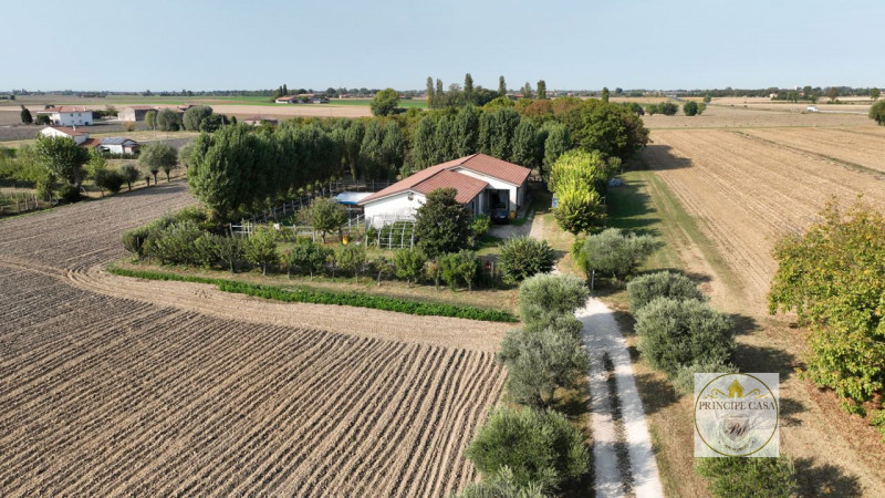 Immagine 5 di Capannone industriale in vendita  in via casette saltare a Este