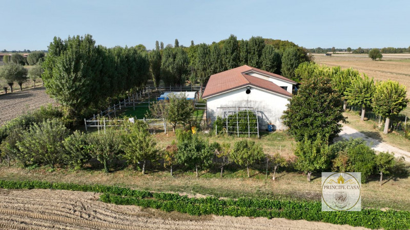 Immagine 6 di Capannone industriale in vendita  in via casette saltare a Este