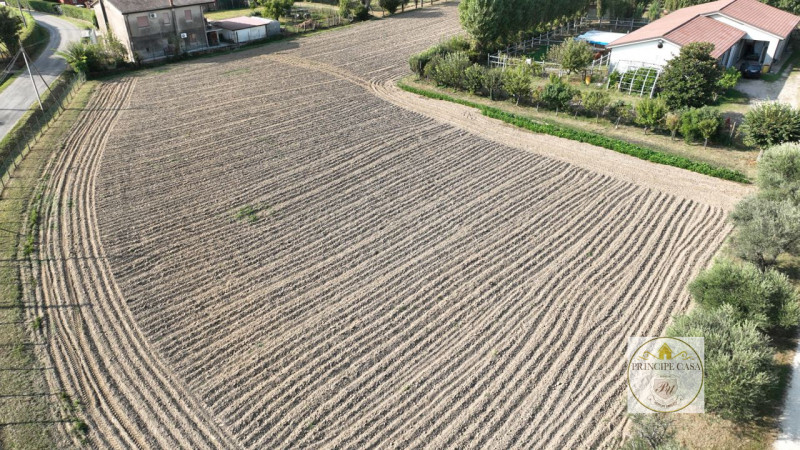 Immagine 7 di Capannone industriale in vendita  in via casette saltare a Este