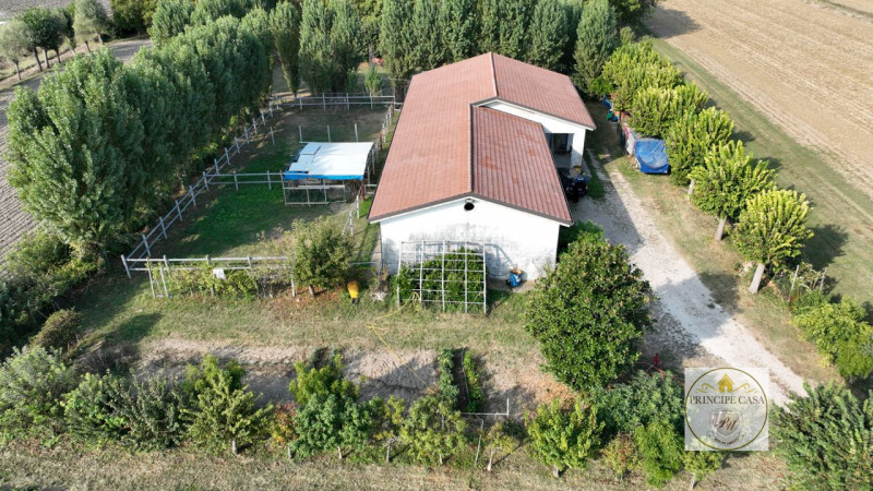 Immagine 8 di Capannone industriale in vendita  in via casette saltare a Este