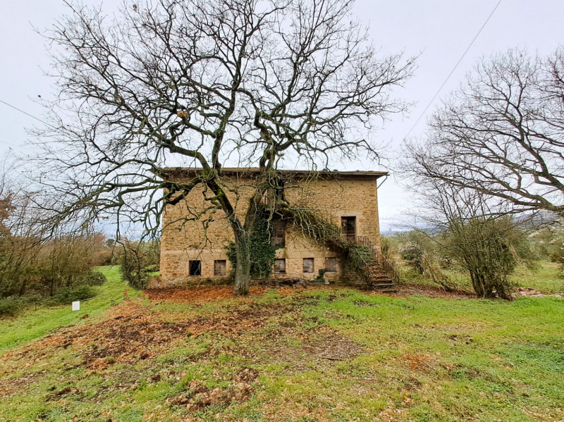 Immagine 5 di Rustico / casale in vendita  a Passignano Sul Trasimeno