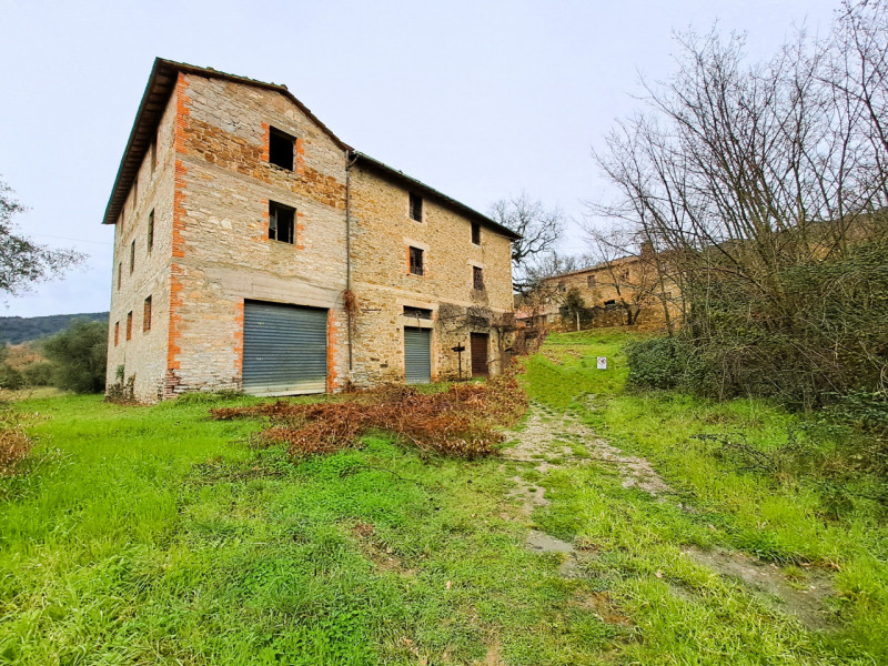 Immagine 6 di Rustico / casale in vendita  a Passignano Sul Trasimeno