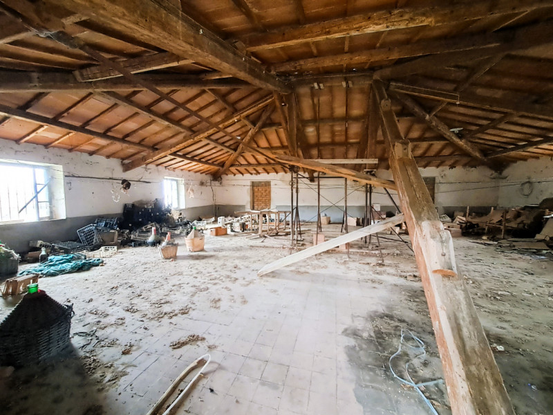 Immagine 9 di Rustico / casale in vendita  a Passignano Sul Trasimeno