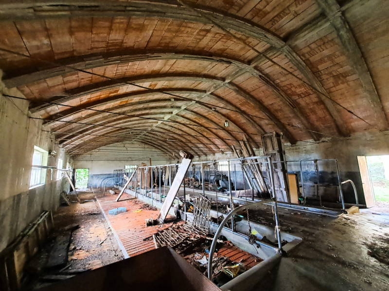 Immagine 10 di Rustico / casale in vendita  a Passignano Sul Trasimeno