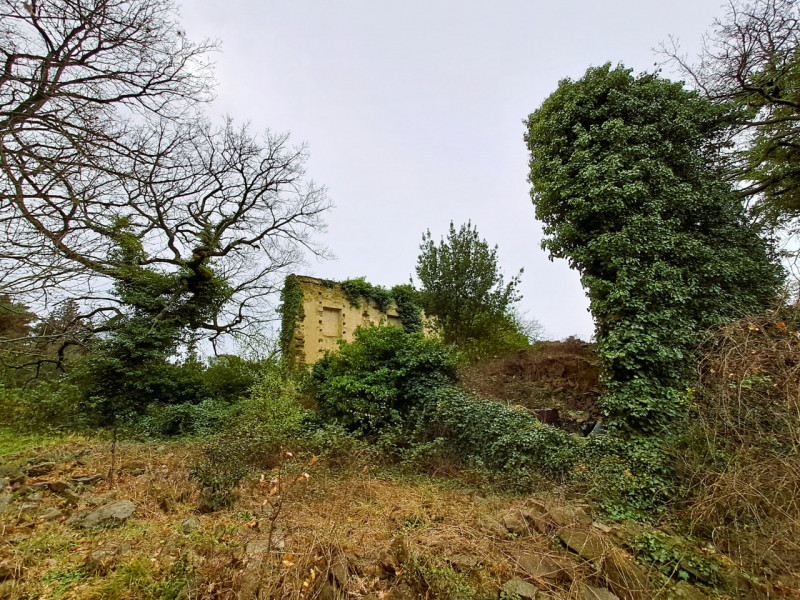 Immagine 11 di Rustico / casale in vendita  a Passignano Sul Trasimeno