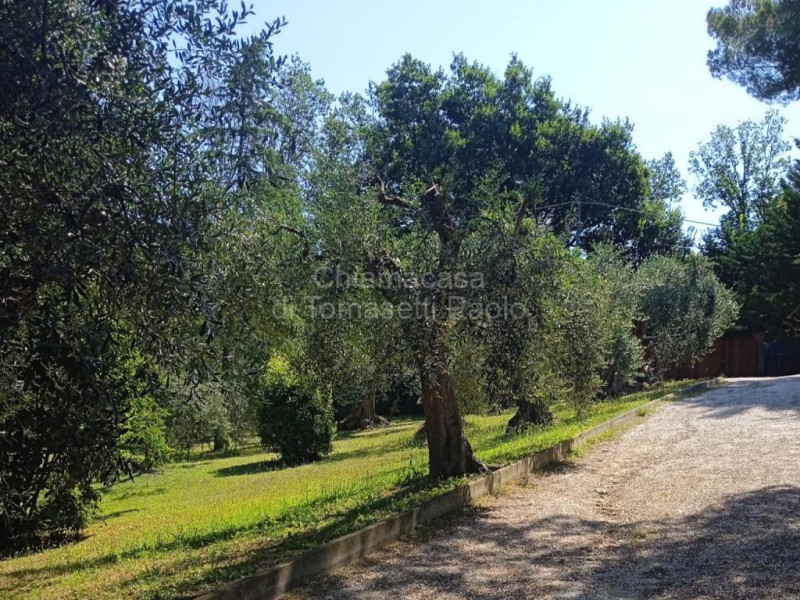 Immagine 11 di Villa in vendita  in roncosambaccio a Fano