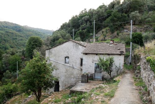 Immagine 4 di Rustico / casale in vendita  in Via vecchia chiesa di Bana a Camogli