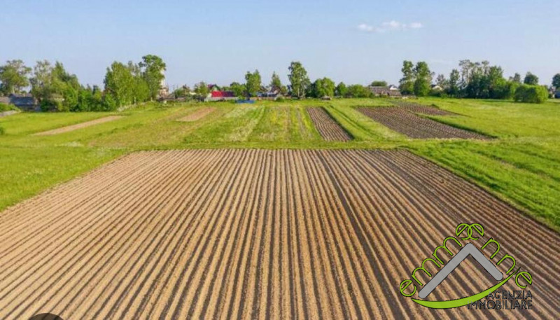 Immagine 2 di Terreno in vendita  a Piove Di Sacco