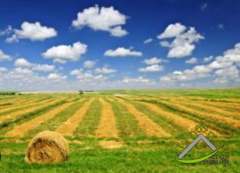 Immagine 3 di Terreno in vendita  a Piove Di Sacco