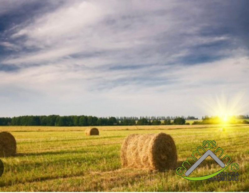 Immagine 4 di Terreno in vendita  a Piove Di Sacco