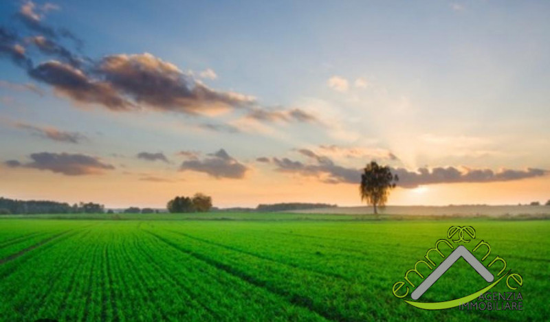 Immagine 5 di Terreno in vendita  a Piove Di Sacco