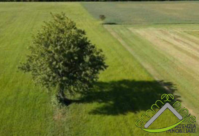 Immagine 6 di Terreno in vendita  a Piove Di Sacco