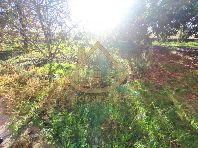 Immagine 41 di Villa in vendita  in Via Sanzio a Mortara